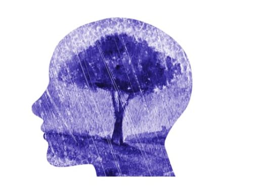 How Mindfulness May Change the Brain in Depressed Patients